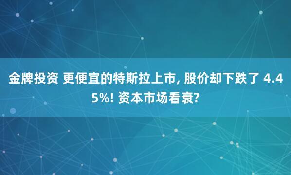 金牌投资 更便宜的特斯拉上市, 股价却下跌了 4.45%! 资本市场看衰?
